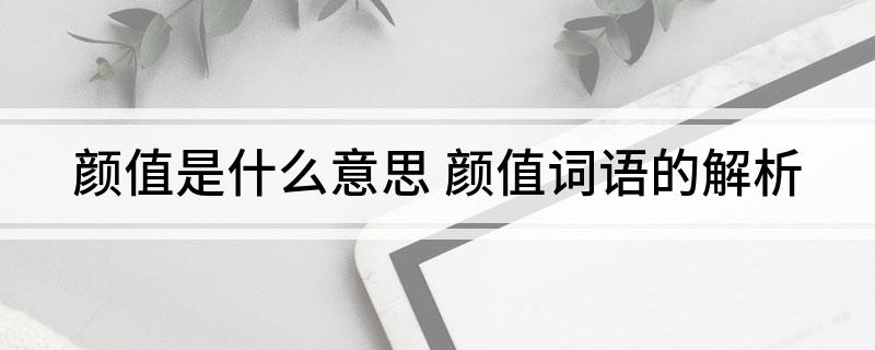 颜值是什么意思 颜值词语的解析