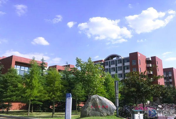 山东科技大学在国内属于几本