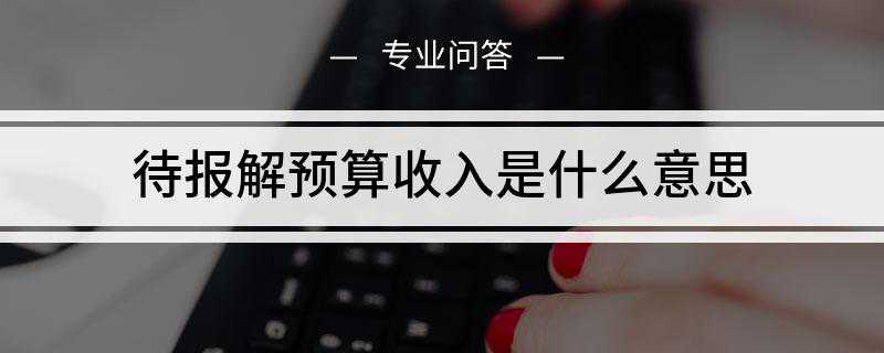 待报解预算收入是什么意思呢