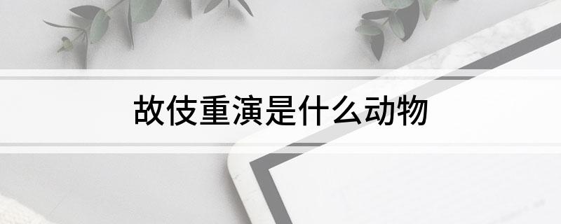 故伎重演是什么动物