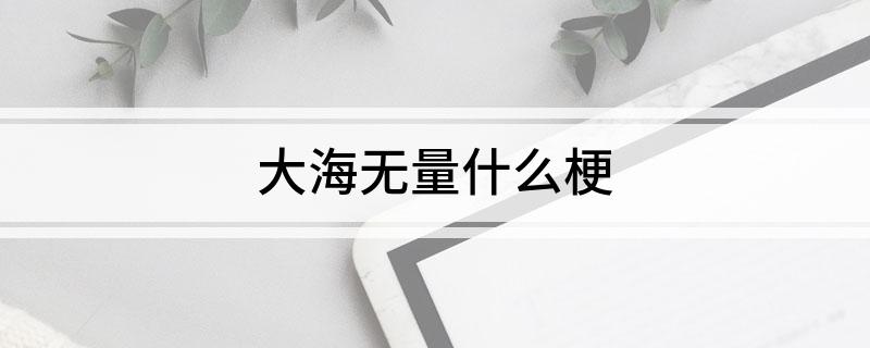 大海无量什么梗