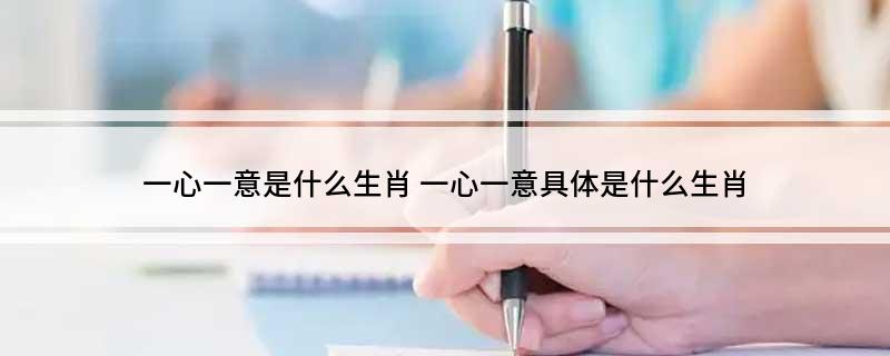 一心一意是什么生肖 一心一意具体是什么生肖