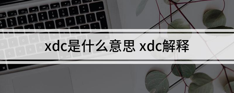 xdc是什么意思 xdc解释
