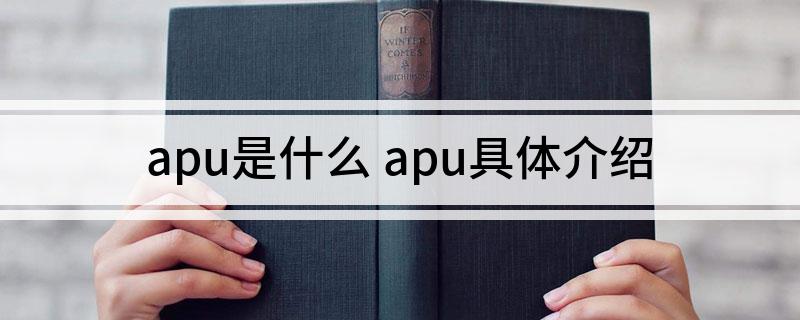 apu是什么 apu具体介绍