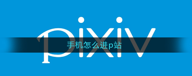 手机怎么进p站_手机怎么上p站官网