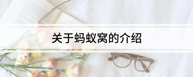 关于蚂蚁窝的介绍