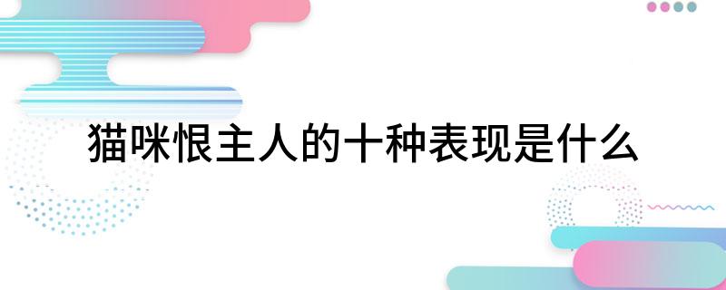 猫咪恨主人的十种表现是什么 猫咪恨主人的十种表现有哪些