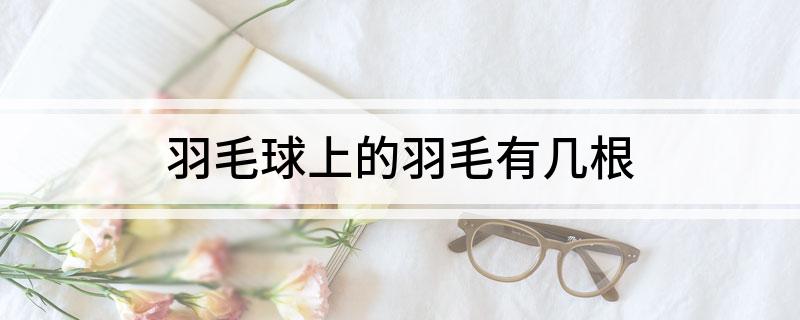 羽毛球上的羽毛有几根