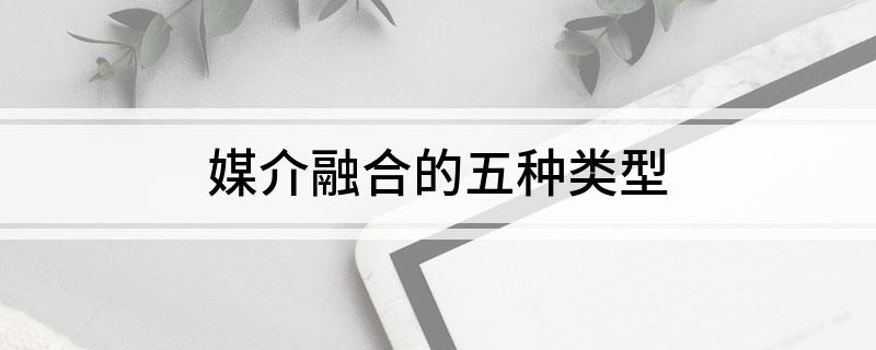 媒介融合的五种类型