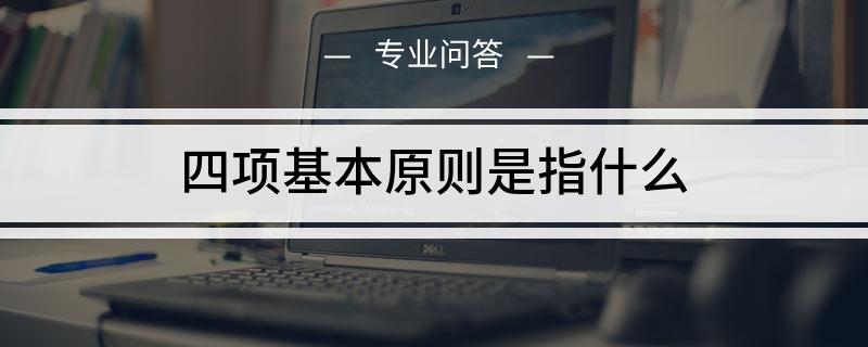 党的四项基本原则是指什么