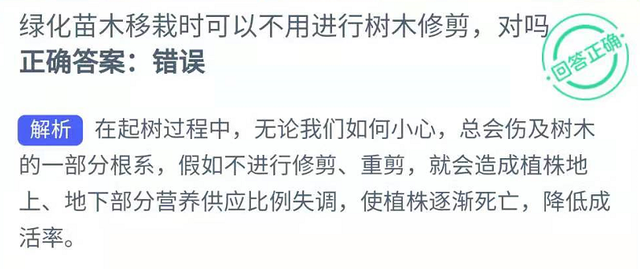 绿化苗木移栽时可以不用进行树木修剪对吗