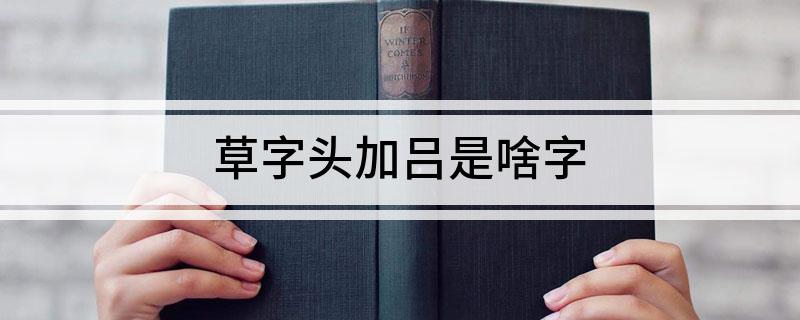 草字头加吕是啥字