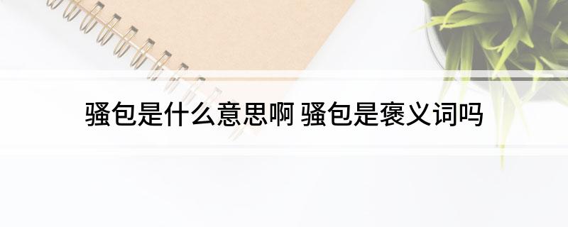 骚包是什么意思啊 骚包是褒义词吗