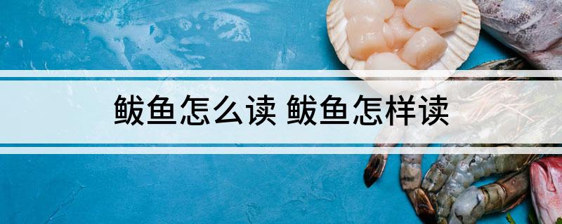 鲅鱼怎么读 鲅鱼怎样读