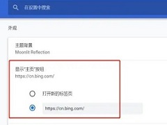 谷歌浏览器皮肤怎么换？修改谷歌浏览器皮肤的方法