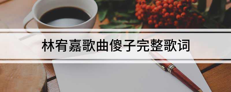 林宥嘉歌曲傻子完整歌词