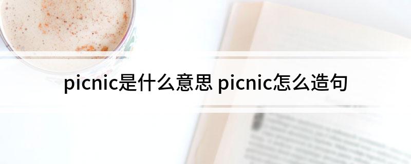 picnic是什么意思 picnic怎么造句