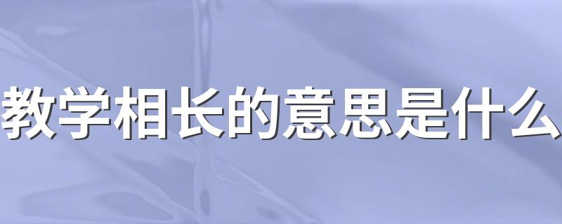 教学相长的意思是什么 词语教学相长什么意思