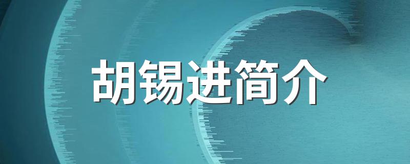 胡锡进简介 关于胡锡进的介绍