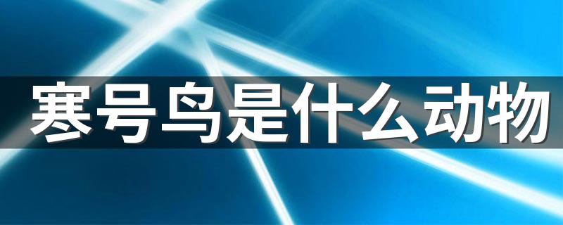 寒号鸟是什么动物 快快来看看吧