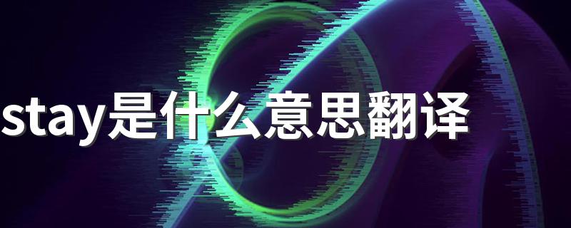 stay是什么意思翻译 单词stay什么意思