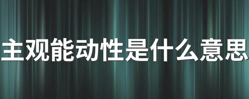 主观能动性是什么意思 主观能动性的意思