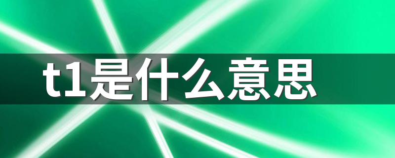 t1是什么意思 t1到底是什么意思