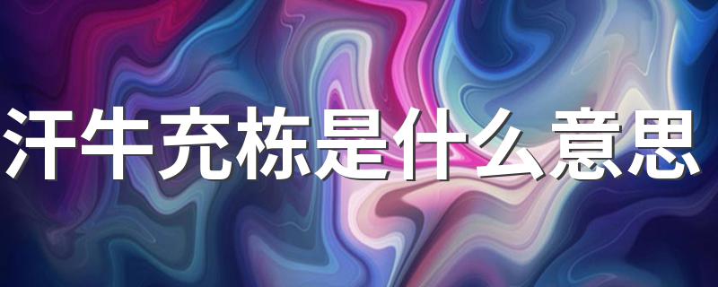 汗牛充栋是什么意思 汗牛充栋的含义