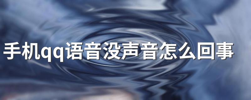 手机qq语音没声音怎么回事? 下面5个原因可供参考