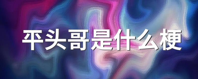 平头哥是什么梗 平头哥解释