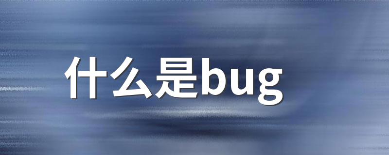 什么是bug bug释义