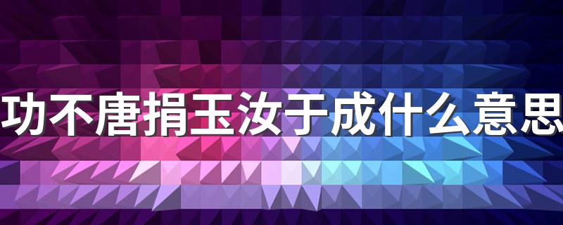 功不唐捐玉汝于成什么意思 功不唐捐玉汝于成的意思