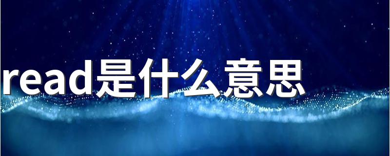 read是什么意思 read的中文意思