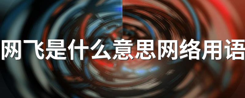 网飞是什么意思网络用语