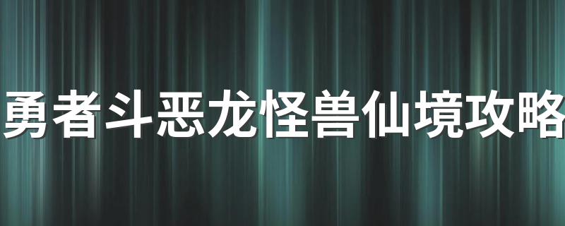勇者斗恶龙怪兽仙境攻略 勇者斗恶龙怪兽仙境详细攻略介绍