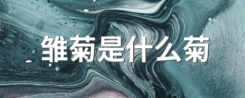 雏菊是什么菊 雏菊的简单介绍
