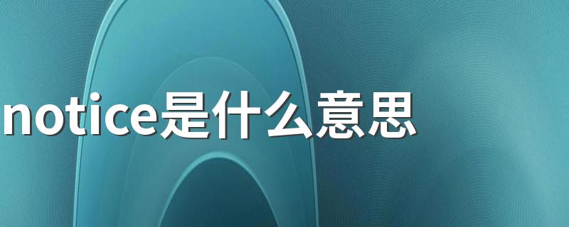 notice是什么意思 notice翻译