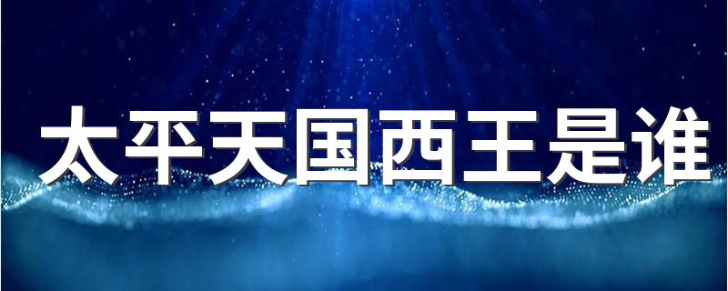 太平天国西王是谁 太平天国西王的简介