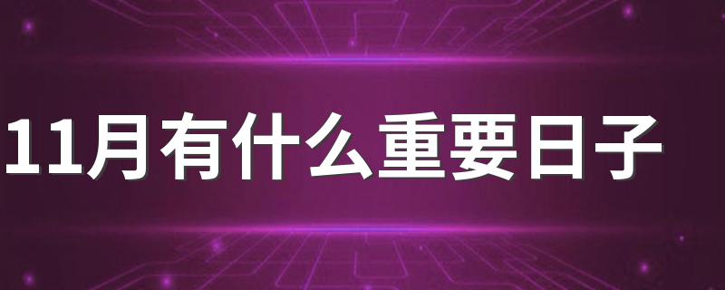 11月有什么重要日子 11月份有什么节日和重要的日子