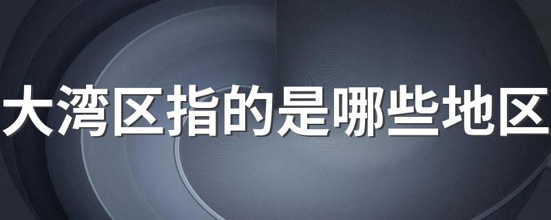 大湾区指的是哪些地区