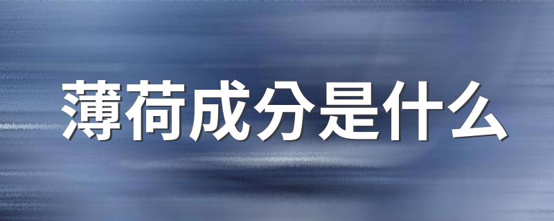 薄荷成分是什么 薄荷介绍