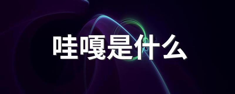 哇嘎是什么 哇嘎的意思