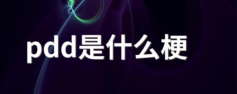 pdd是什么梗 pdd的意思