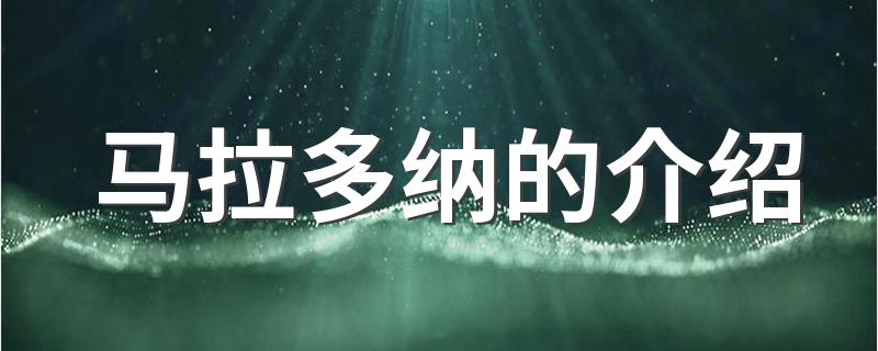 马拉多纳的介绍 马拉多纳简介