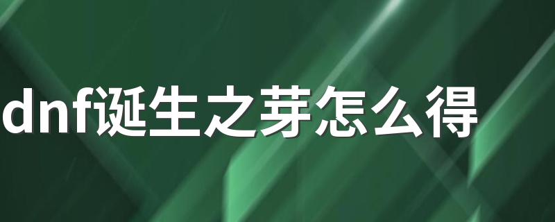 dnf诞生之芽怎么得 DNF如何获得诞生之芽？