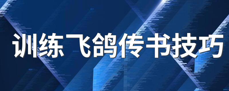 训练飞鸽传书技巧 训练飞鸽传书方法如下