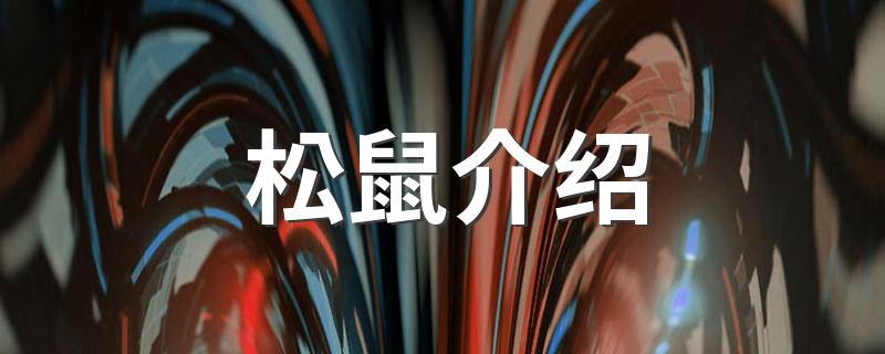 松鼠介绍 松鼠的简介
