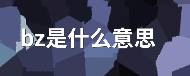 bz是什么意思 bz的意思是什么