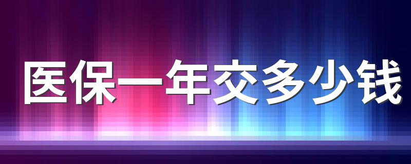 医保一年交多少钱 医保收费标准
