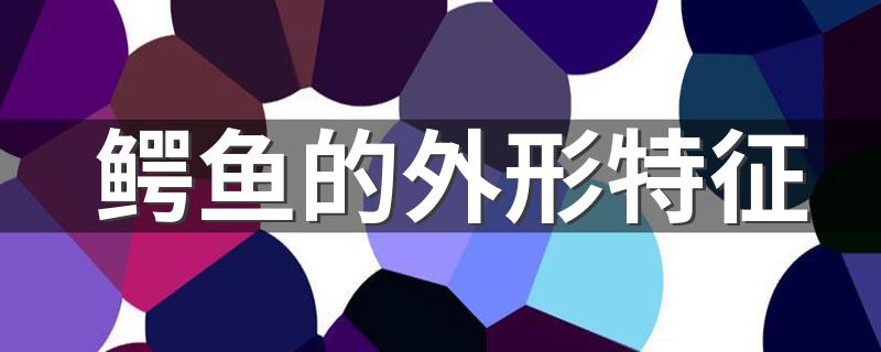 鳄鱼的外形特征 鳄鱼介绍